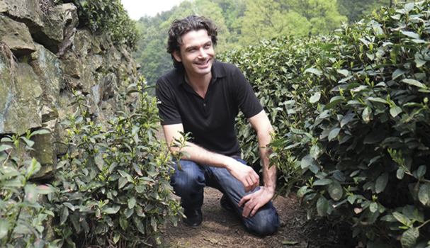 一个英国人是如何创出“中国茶”品牌的？ | 橙湾案例