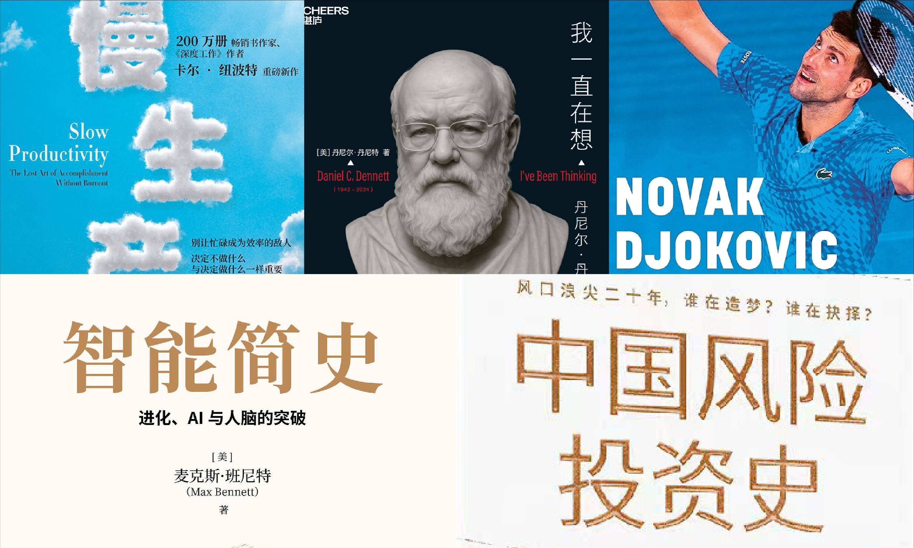 橙湾书单 2025年12月｜诺瓦克・德约科维奇、我一直在想、智能简史、慢生产力、中国风险投资史